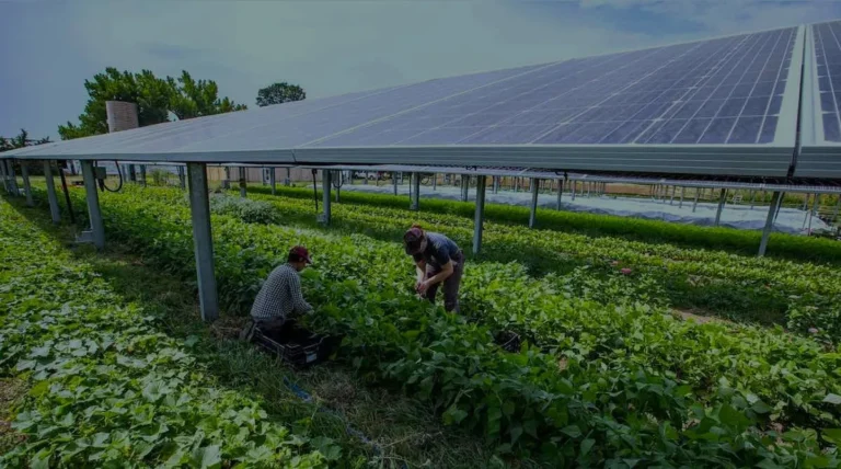 6-Solar for Agriculture